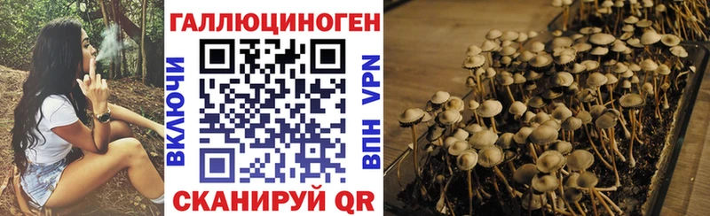 Галлюциногенные грибы мицелий  Змеиногорск 